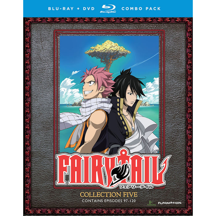 Fairy Tail: Collection Five [Blu-ray]