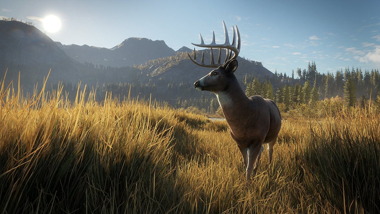 theHunter: Call of the Wild [PlayStation 4]