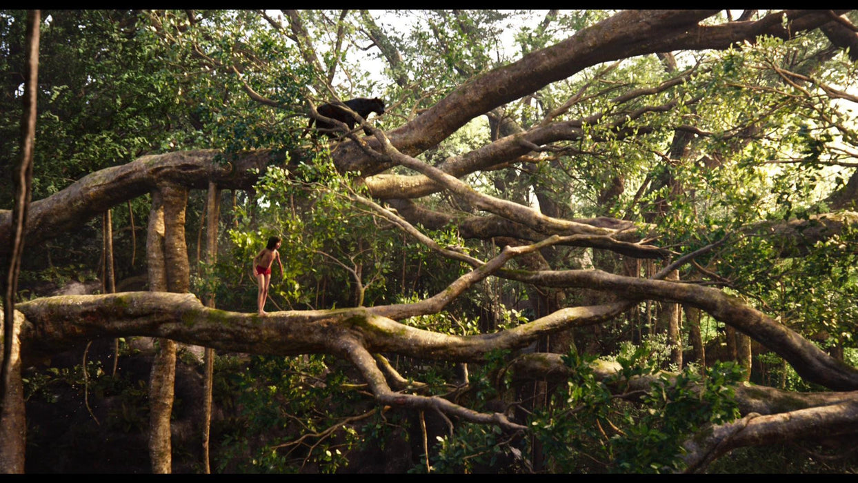 Disney's The Jungle Book [3D + 2D Blu-Ray]