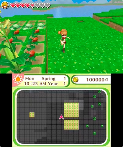 Harvest Moon: Skytree Village - Limited Edition [Nintendo 3DS]