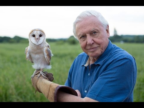 David Attenborough: The 3D Collection - Volume 2 [3D Blu-Ray Box Set]
