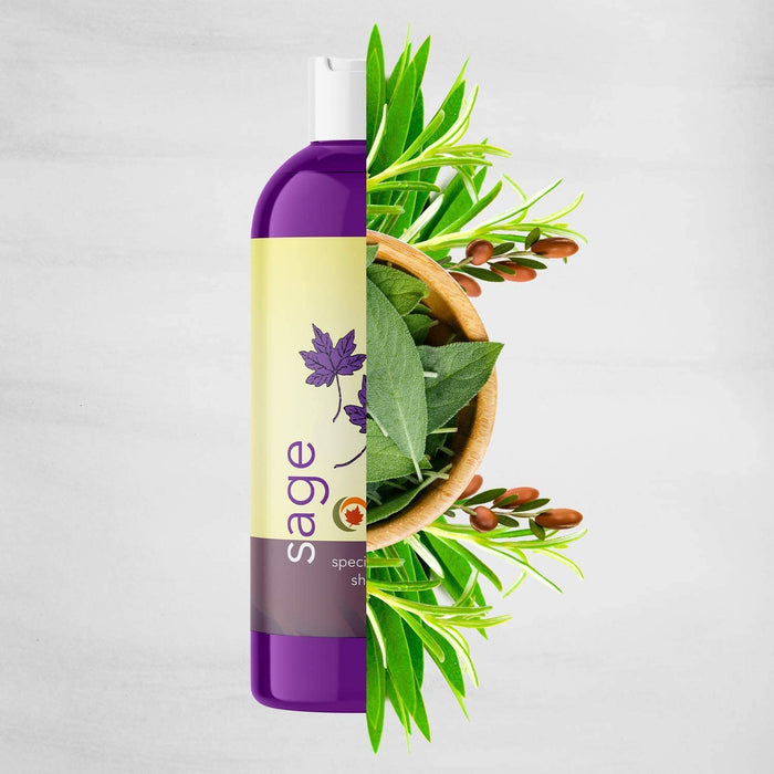 Maple Holistics Sage Shampoo for Anti Dandruff - 236mL / 8 fl oz [Beauty]