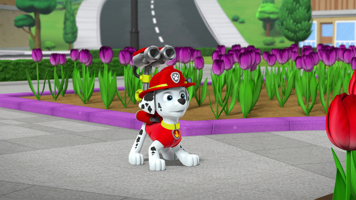 PAW Patrol: Everest - The Snowy Mountain Pup [DVD]