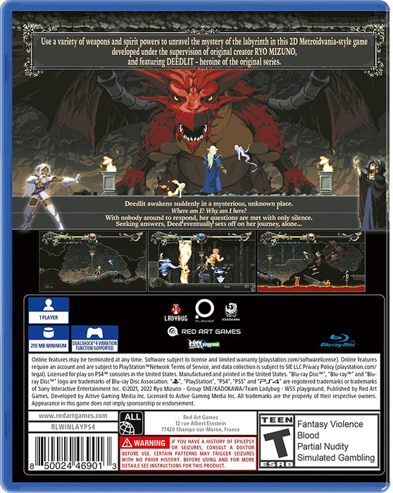 Record of Lodoss War: Deedlit in Wonder Labyrinth [PlayStation 4]
