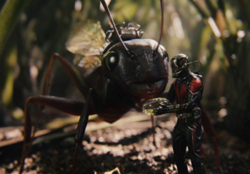 Marvel's Ant-Man [3D + 2D Blu-Ray]