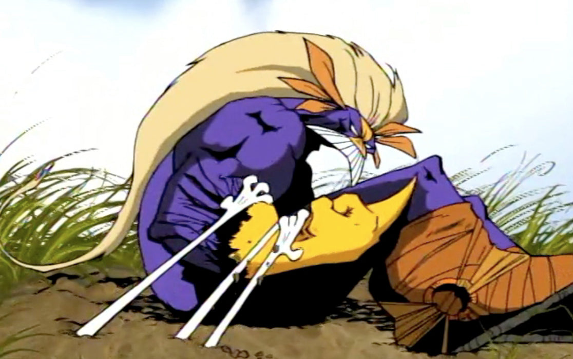 The Maxx: The Complete Series [DVD Box Set]
