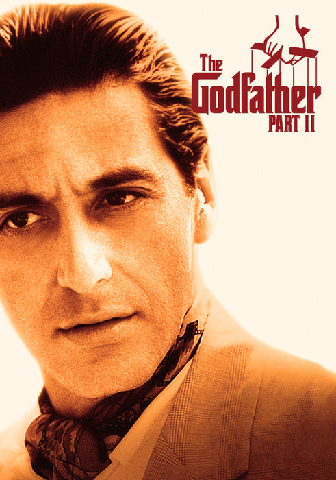 The Godfather 3-Movie Collection [DVD Box Set]